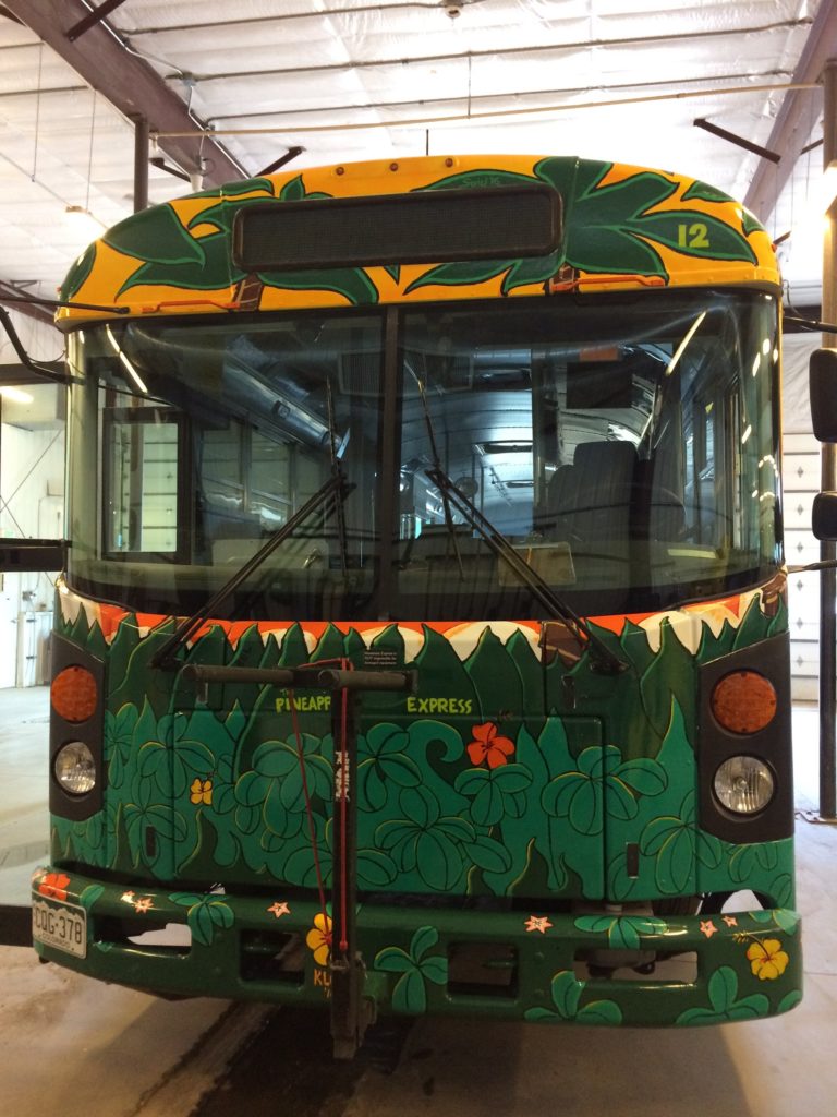 Painted Bus Gallery The Mountain Express