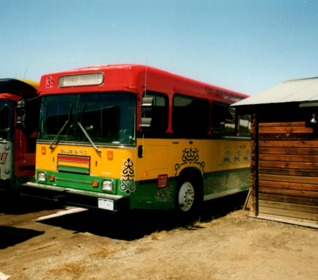 Painted Bus Gallery | The Mountain Express